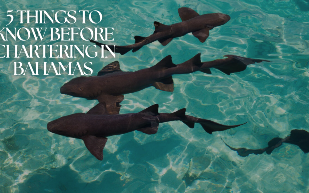 things to now before chartering in bahamas
