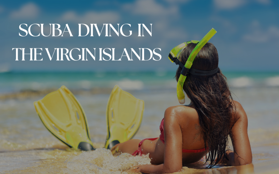 TOP SCUBA dive spots in the virgin islands