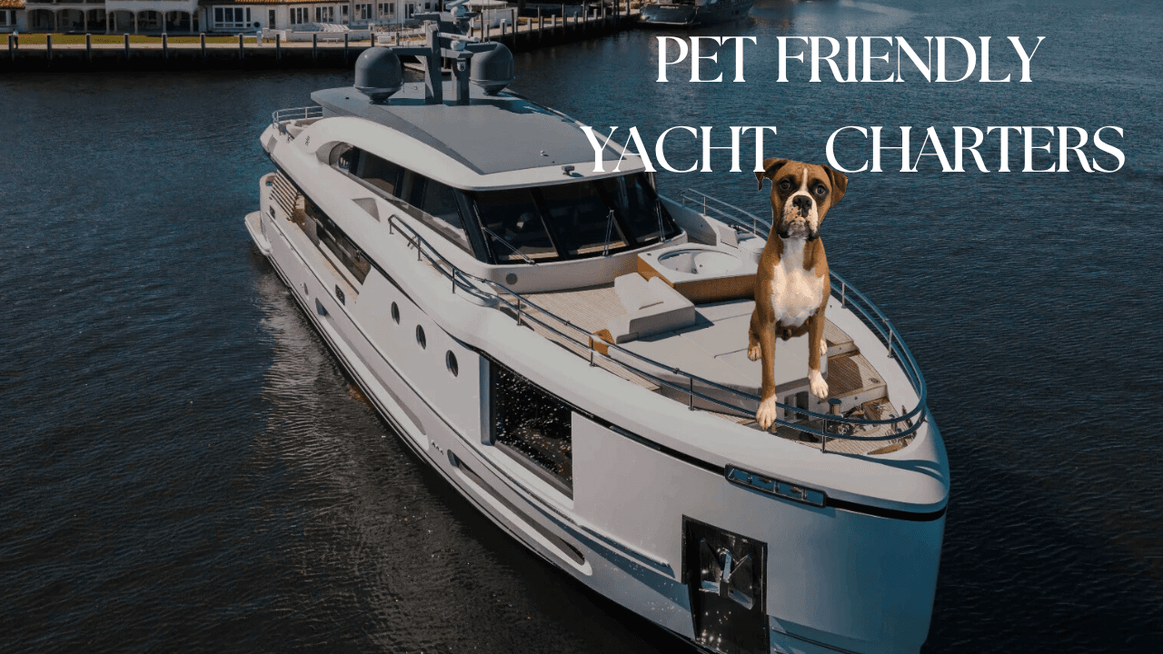 Pet-Friendly Yacht Charters: What You Need to Know