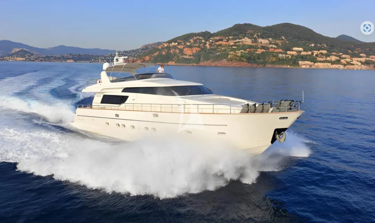 Lizard — photo 2