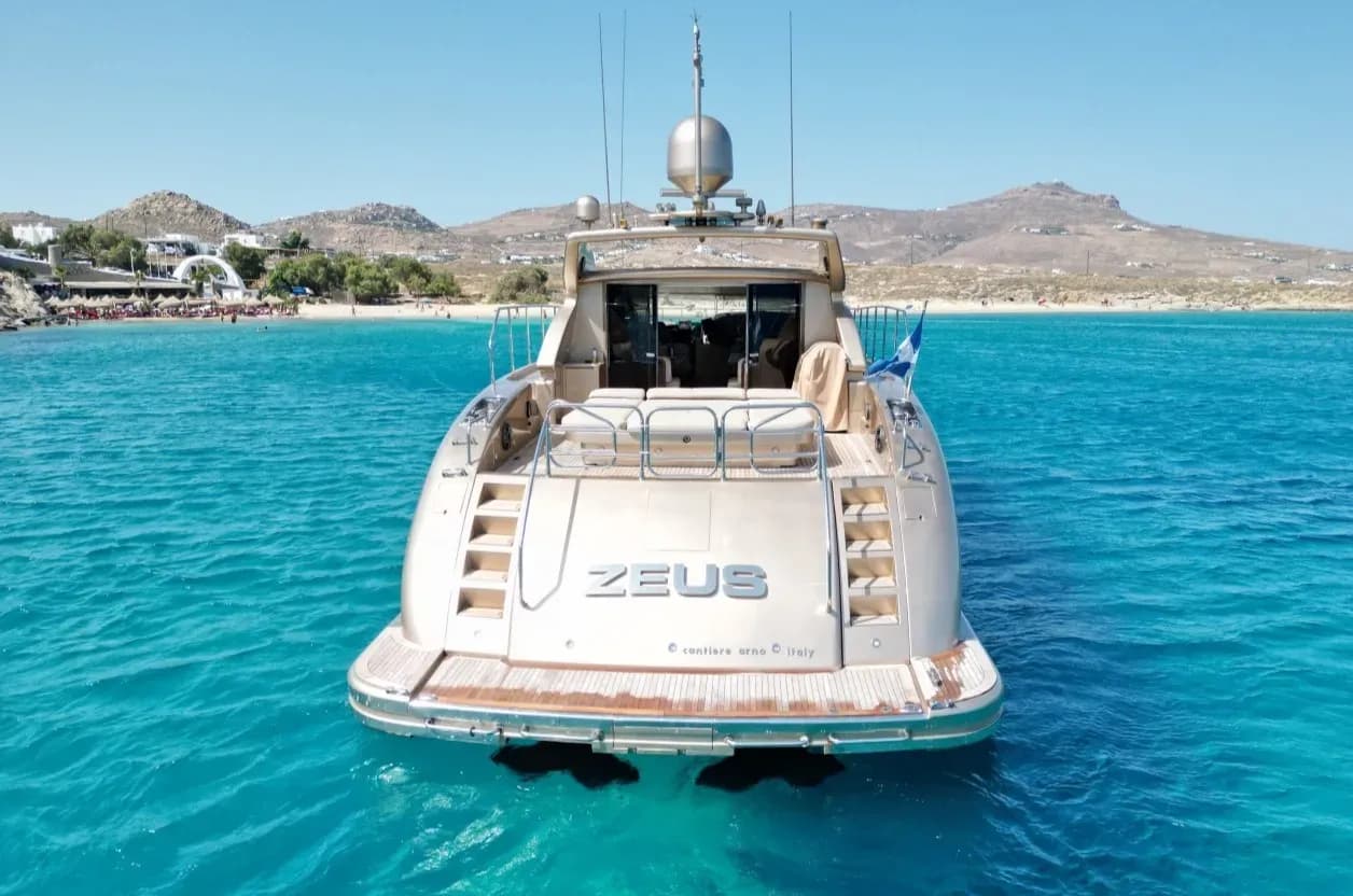 Zeus — photo 2