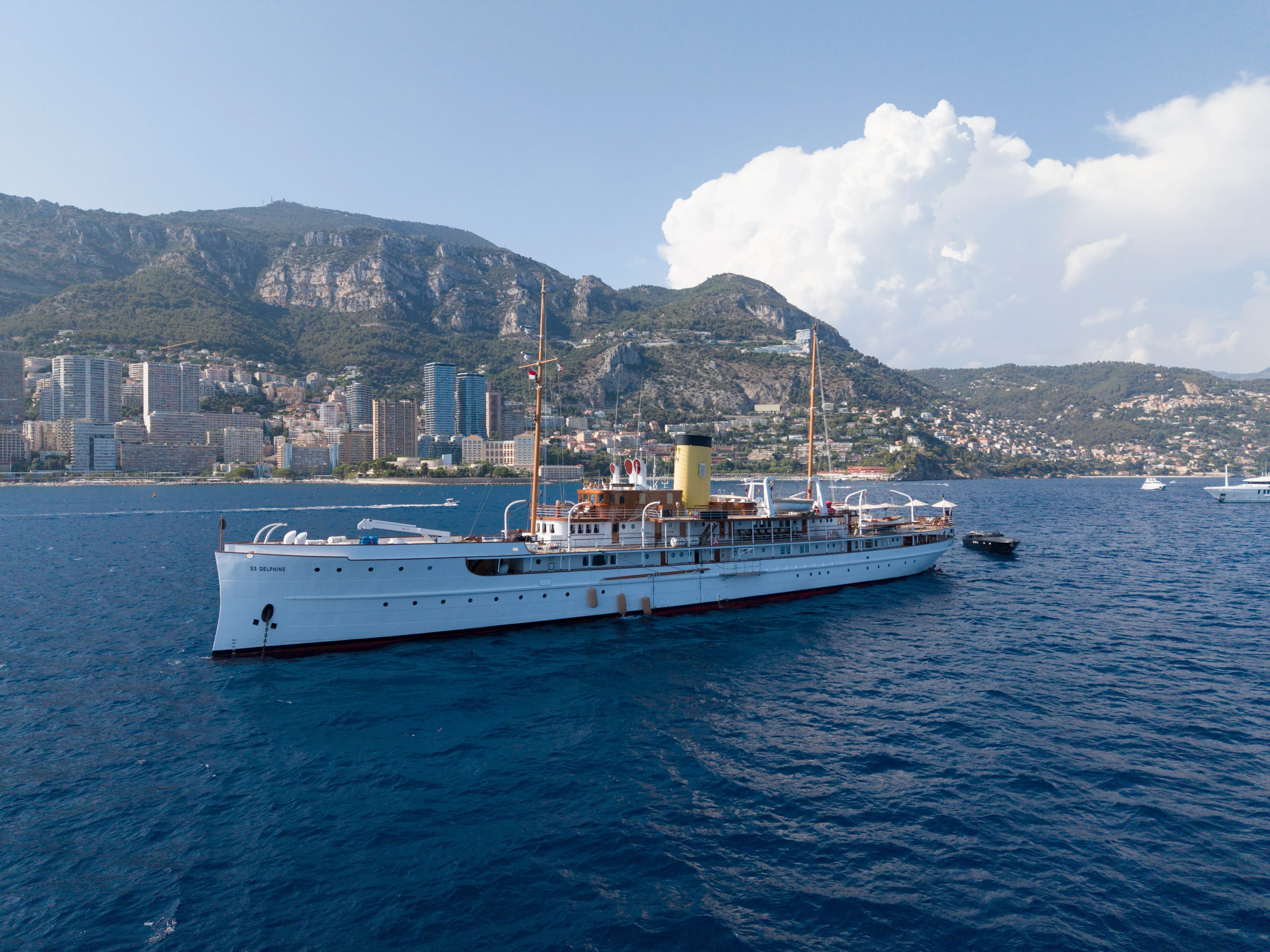 SS DELPHINE — photo 3