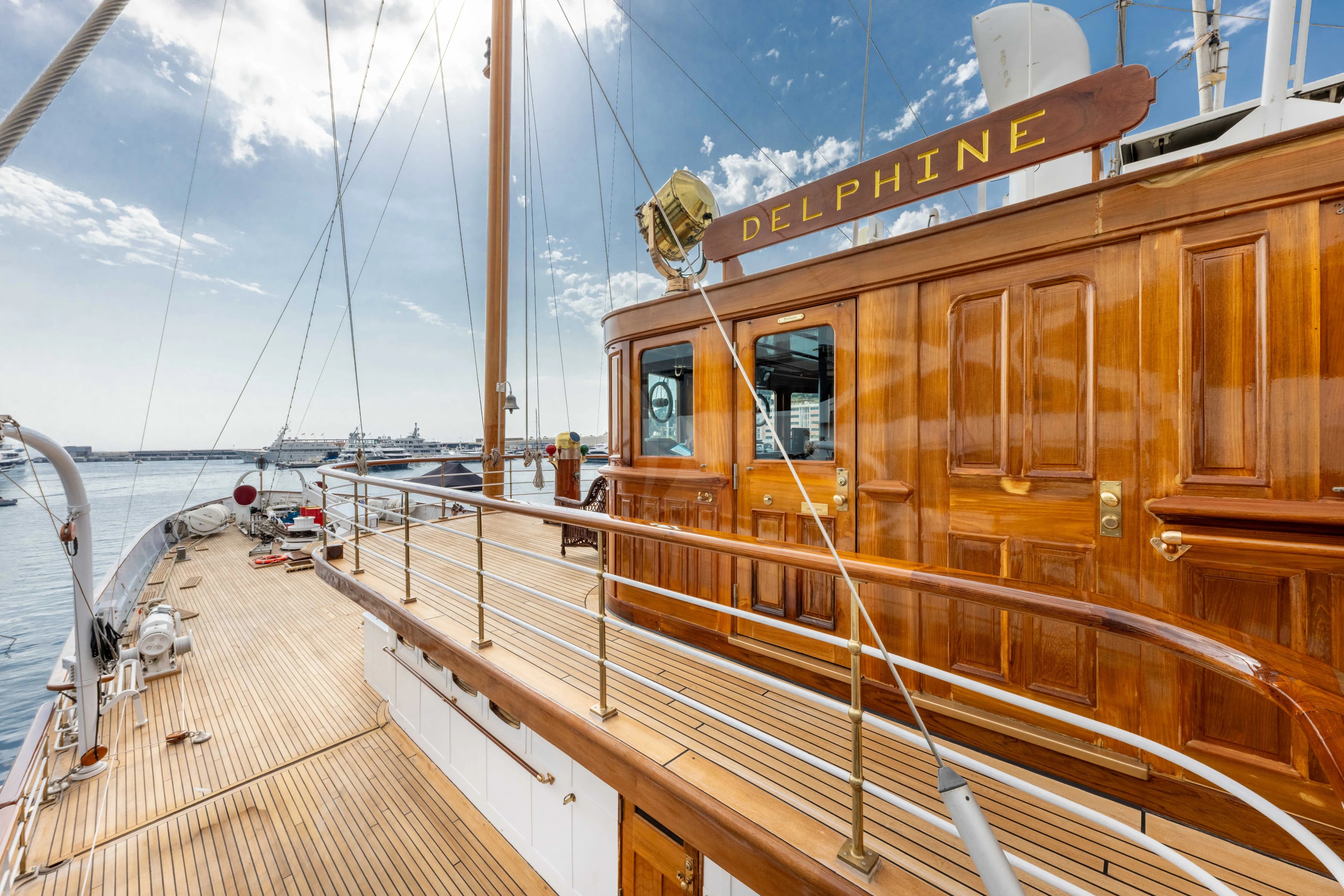 SS DELPHINE — photo 4