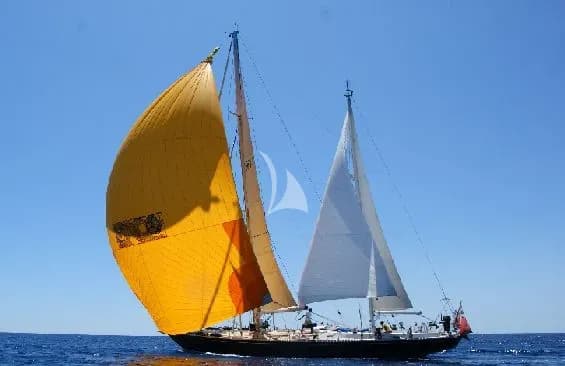 TANGAROA — photo 2
