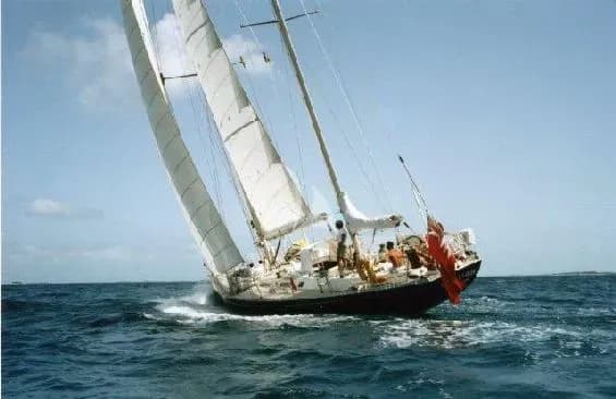 TANGAROA — photo 4