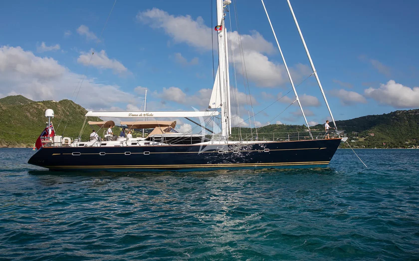 Dama de Noche — photo 3