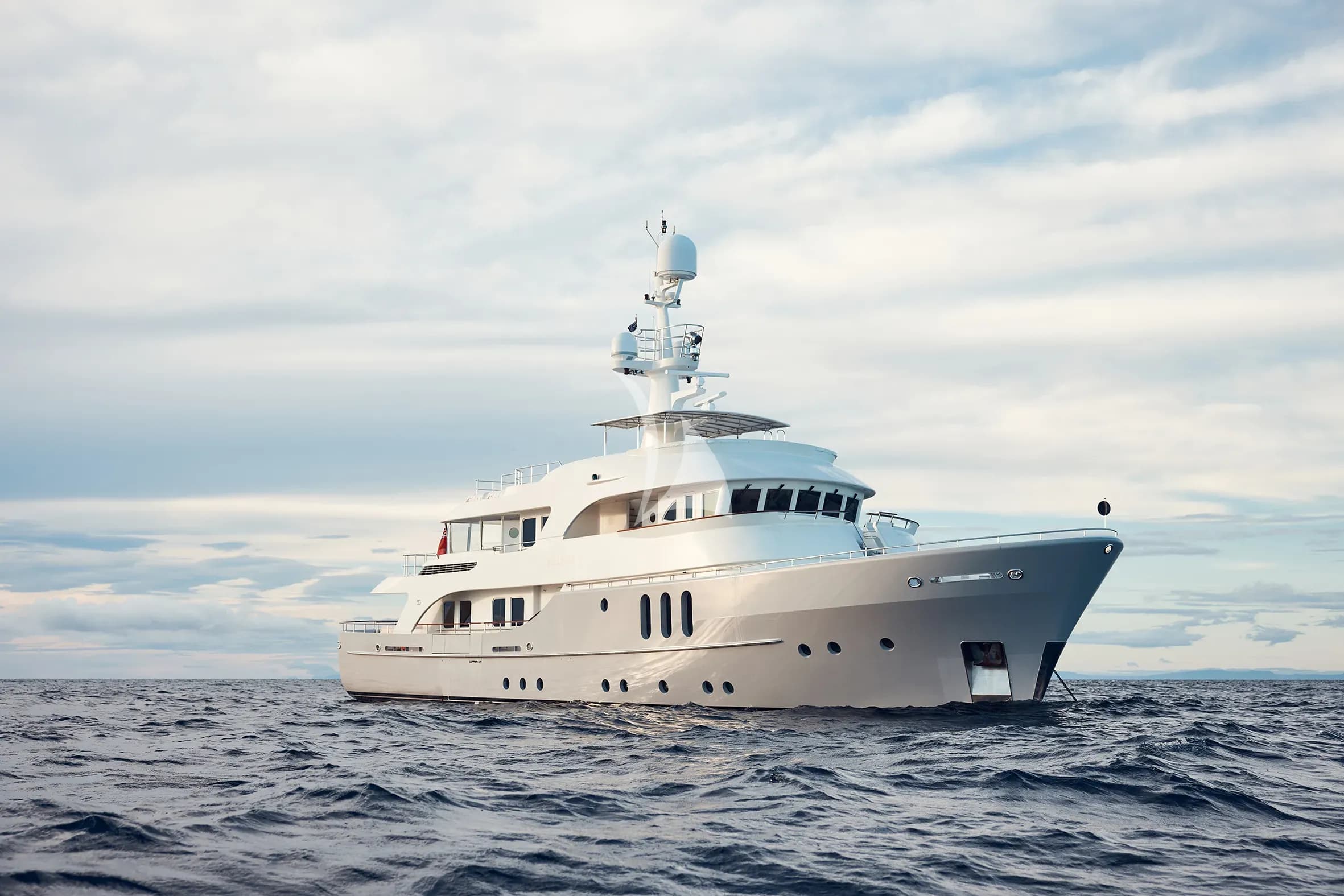 BELUGA — photo 1