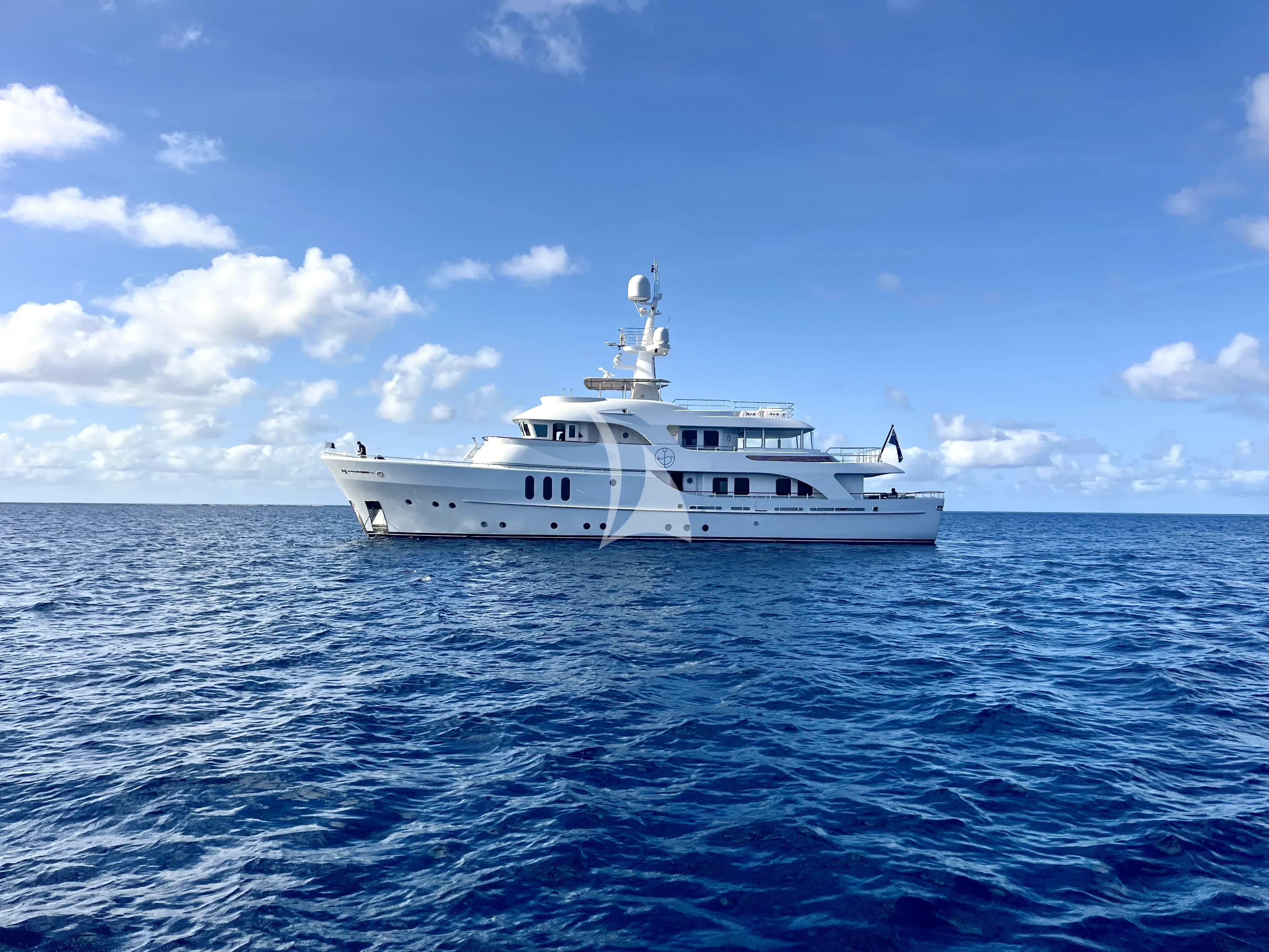 BELUGA — photo 3