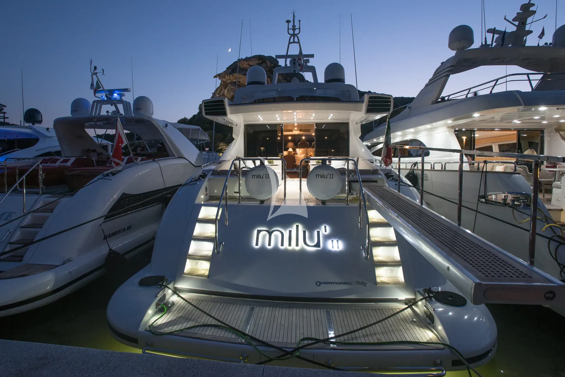 MILU II — photo 2