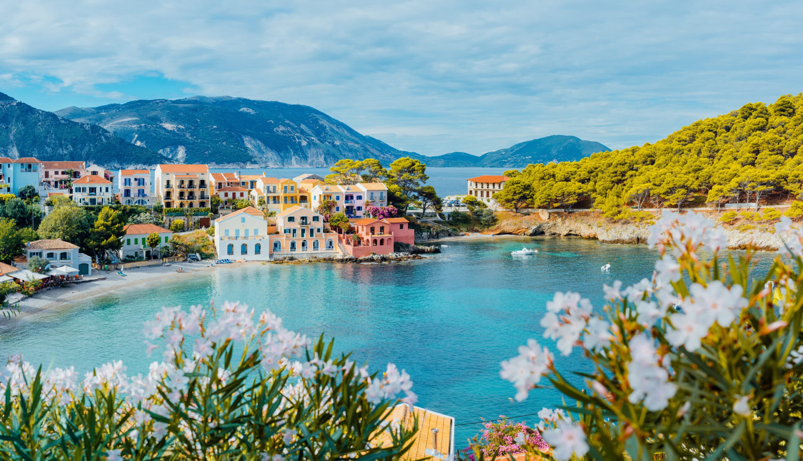 Mediterranean