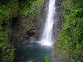 A Dominica waterfall in the rain forest