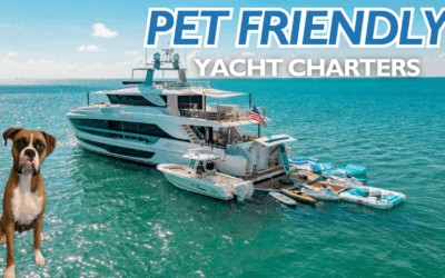 Pet-Friendly Yacht Charters: What You Need to Know Before Bringing Your Pet Onboard
