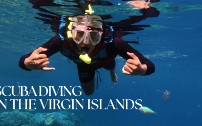 Top 11 Scuba Dive Spots in the BVI – Yacht Charters